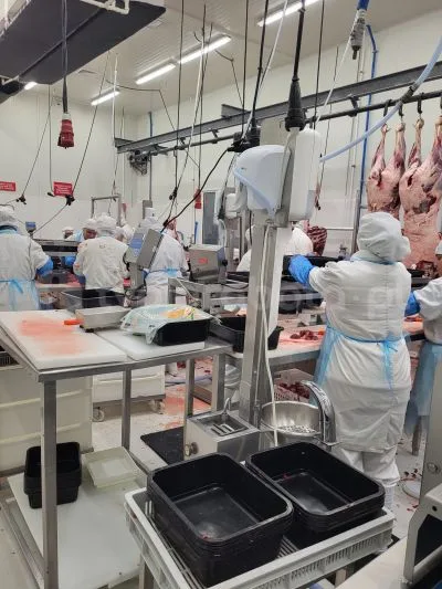 Workplace photo - Butcher / Meat Cutter – meat processing and cutting position