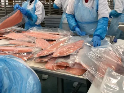 Job offer: Fish Processing Worker - Grudziądz, Poland