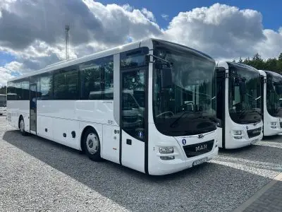 Job offer: Bus Driver - Ściechów, Poland