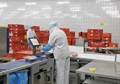 Job offer: Production Worker – poultry processing and packing duties - Golczewo, Poland