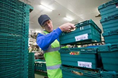 Job offer: Physical Worker – Stacking Vegetable Crates - America, Netherlands