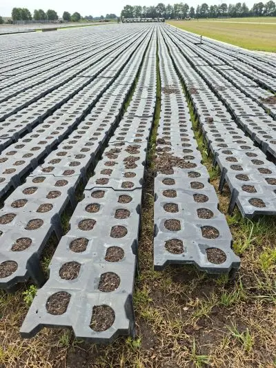 Workplace photo 1 of 9 - Seedling Production Worker – seasonal job