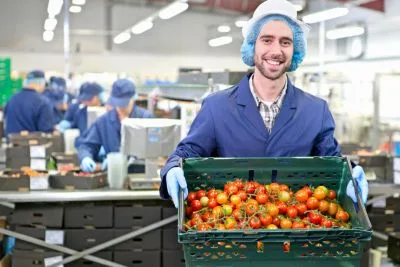 Job offer: Fruit and Vegetable Production & Warehouse Worker - Venlo, Poland