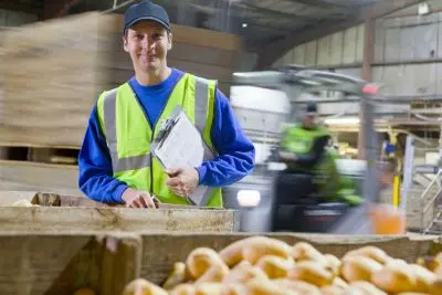 Job offer: Fruit and Vegetable Production & Warehouse Worker - Venlo, Poland